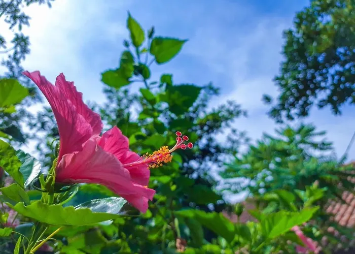 Bumi Gumati Convention Resort